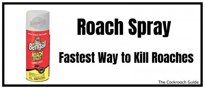 Kills roaches instantly