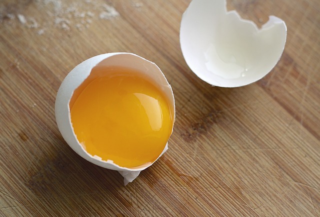 borax and egg yolk bait for cockroaches