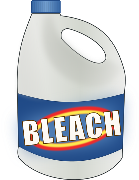 bleach for roaches