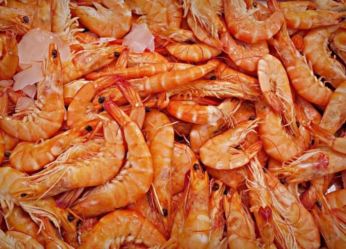 shrimps and cockroaches